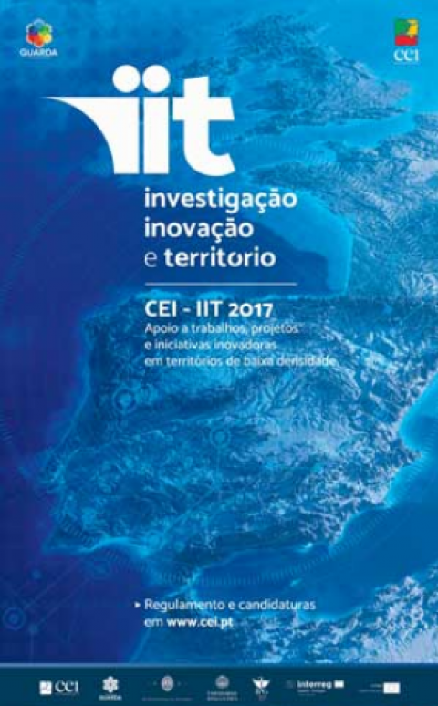 Award CEI-IIT Research, Innovation and Territory – Call for participation