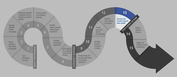 iom_guideline13