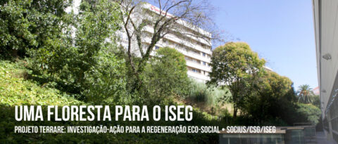 Projeto TERRARE na revista Smart Cities • SOCIUS/CSG